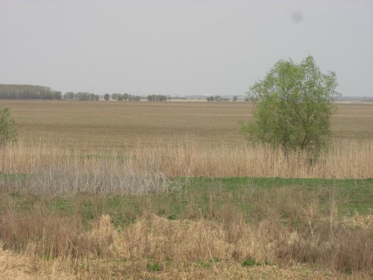 Матроська з panoramio.com - Матросская