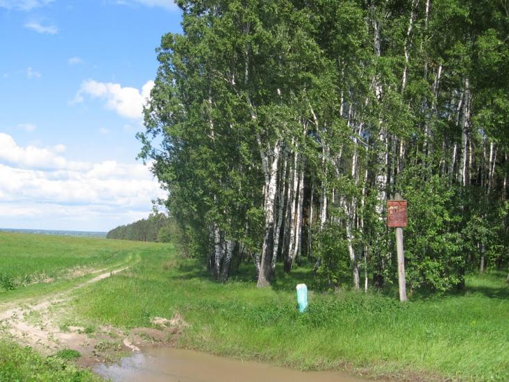 Товстоліс з panoramio.com - Толстолес