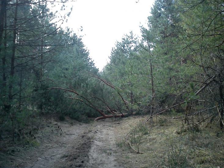 Арламівська Воля з panoramio.com - Арламівська Воля