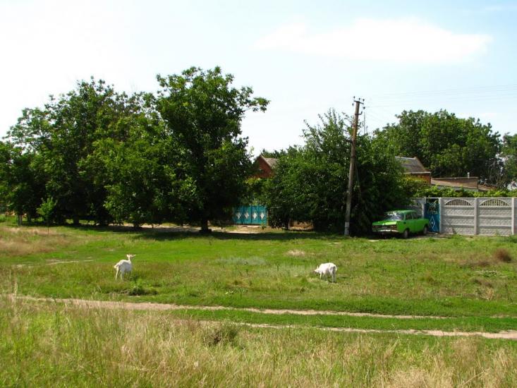 Подо-Калинівка з panoramio.com - Подо-Калиновка