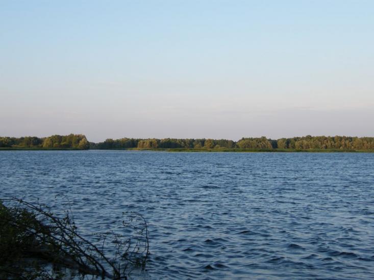 Сорокошичі з panoramio.com - Sorokoshychi