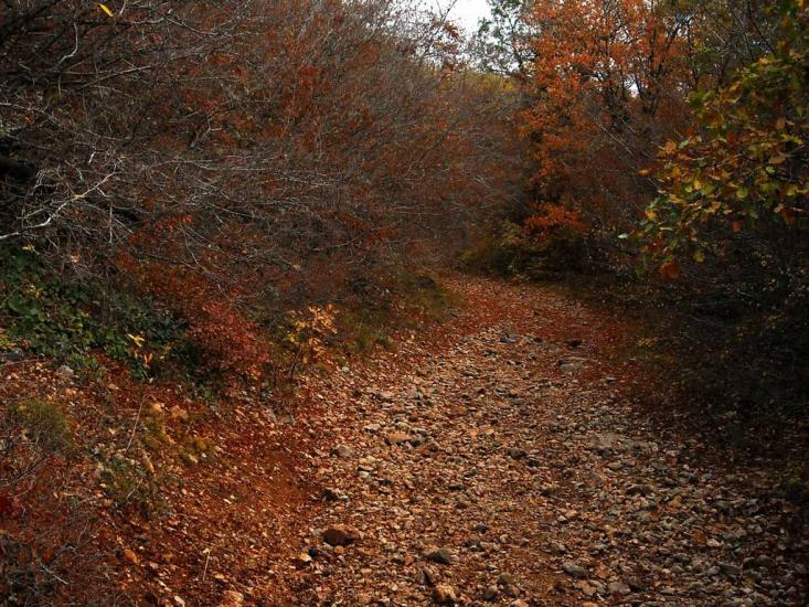 Малий Маяк з panoramio.com - Малий Маяк