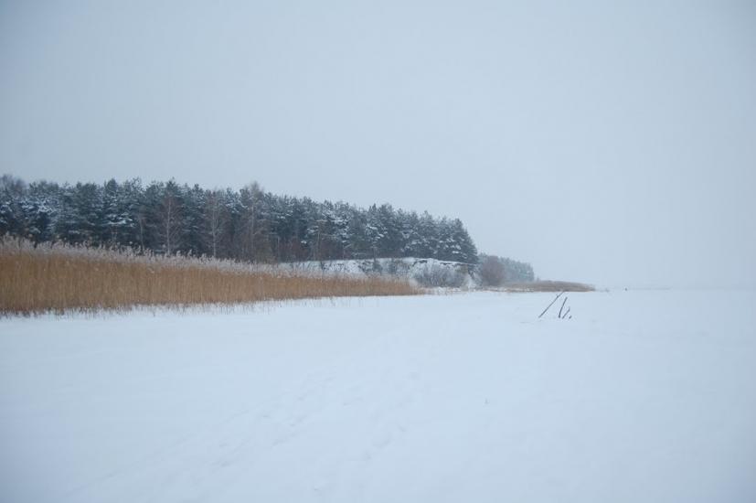 Боремель з panoramio.com - Боремель
