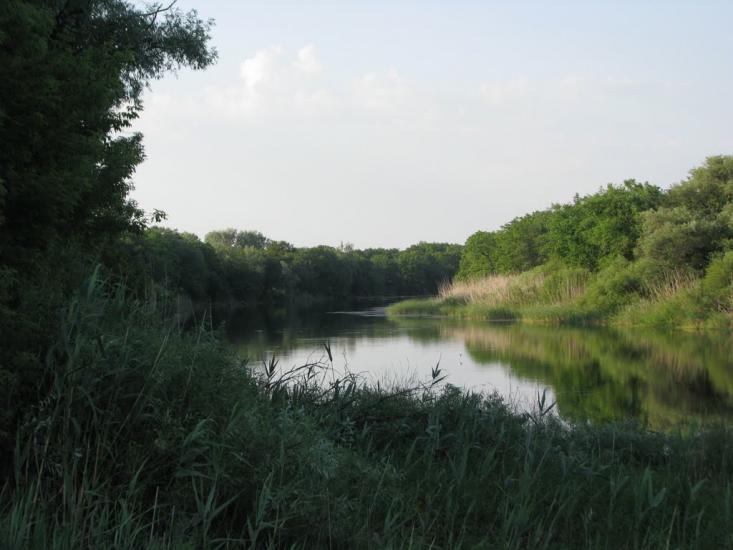 Усть-Лип'янка з panoramio.com - Усть-Липянка