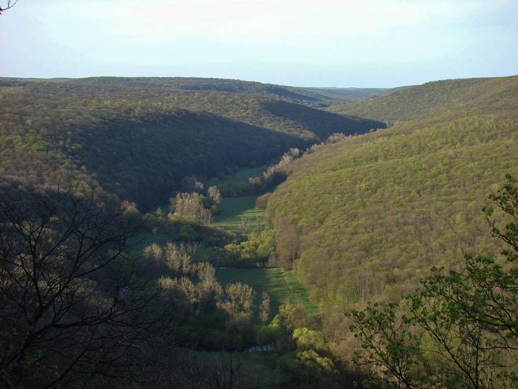 Іванківці з panoramio.com - Іванківці