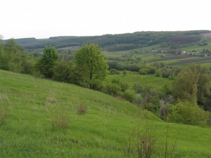 Черкасівка з panoramio.com - Черкасівка