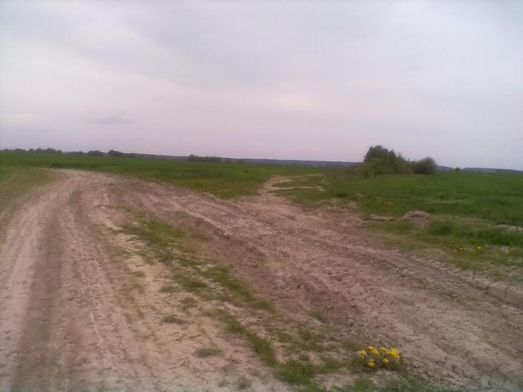 Головлі з panoramio.com - Головли