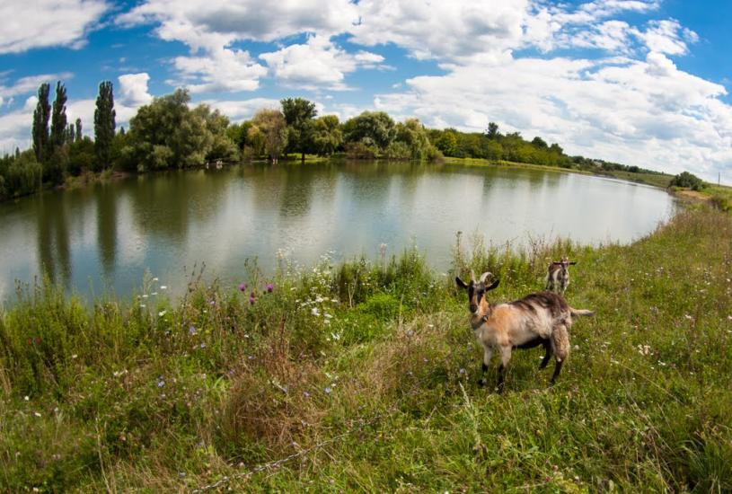 Іванівка з panoramio.com - Іванівка