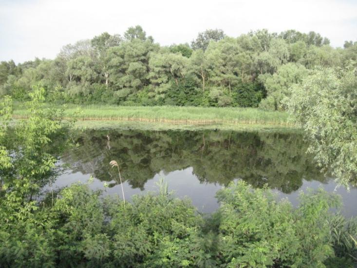 Потоки з panoramio.com - Потоки