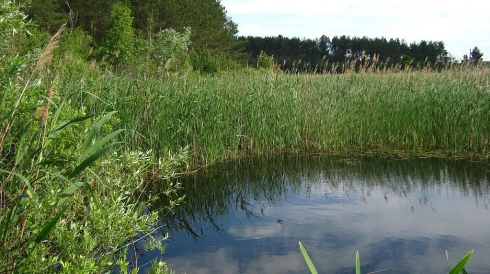 Богданівка з panoramio.com - Богдановка