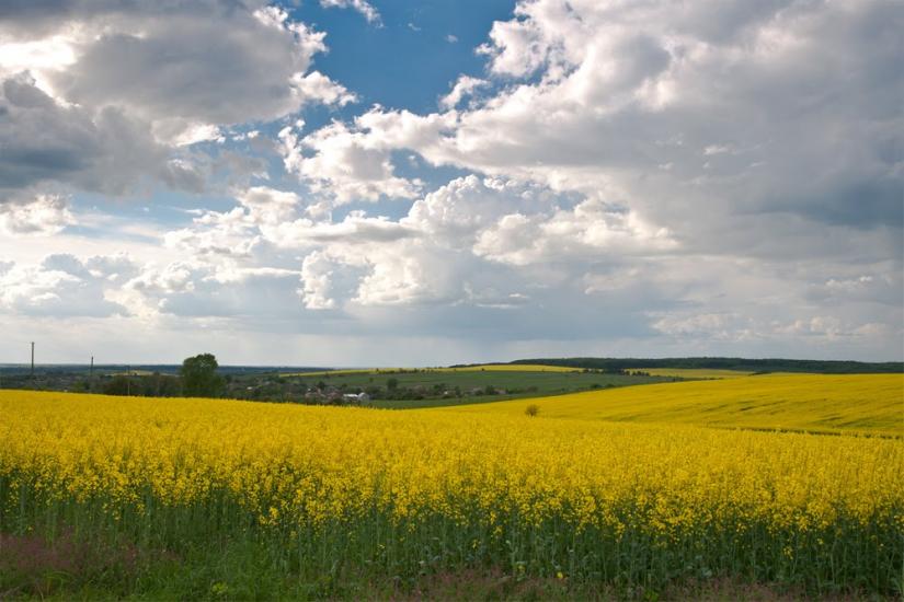 Хоросно з panoramio.com - Хоросно