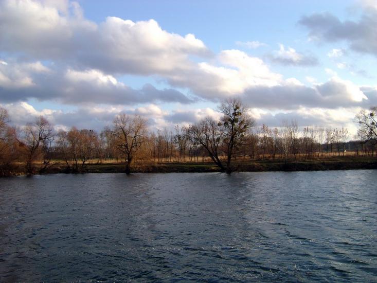 Коротич з panoramio.com - Коротыч