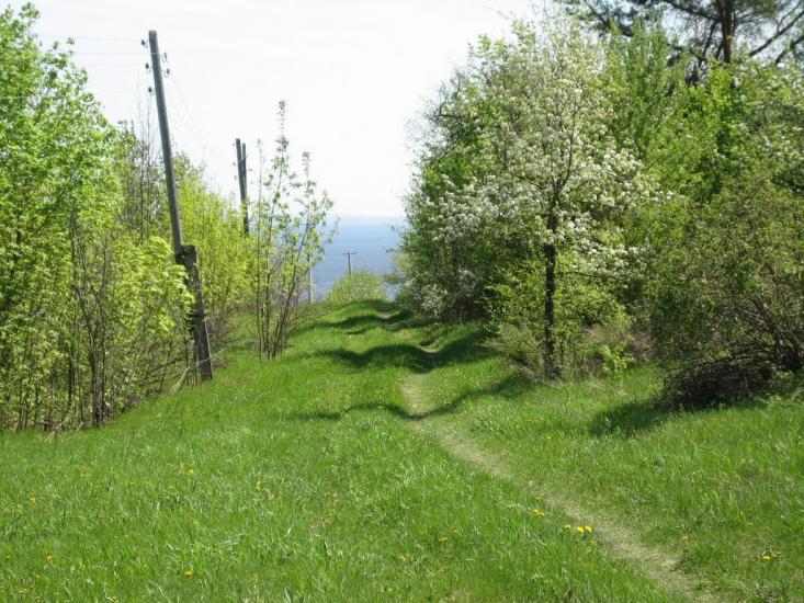 Григорівка з panoramio.com - Григоровка