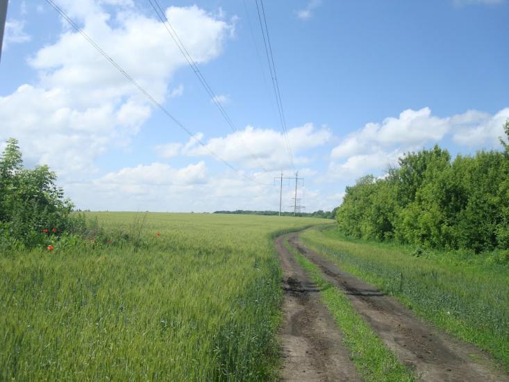 Малашівці з panoramio.com - Малашевцы