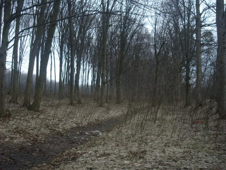 Слобода-Межирівська з panoramio.com - Sloboda-Mezhyrivska