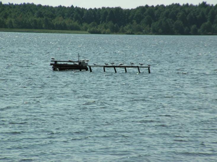 Шацьк з panoramio.com - Шацк