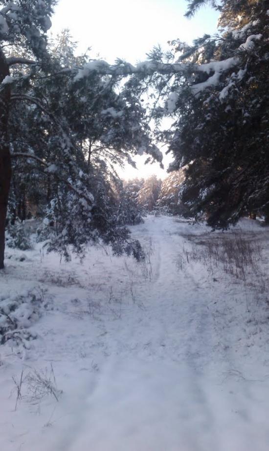 Борівське з panoramio.com - Борівське