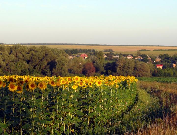 Черкаська Лозова з panoramio.com - Черкасская Лозовая