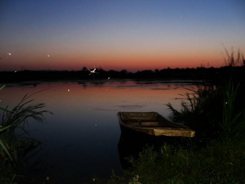 Сиротине з panoramio.com - Сиротине