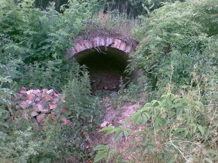 Межиріч з panoramio.com - Межирич