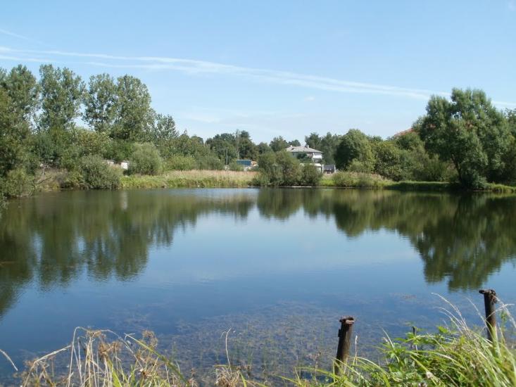 Брюховичі з panoramio.com - Bryukhovychi