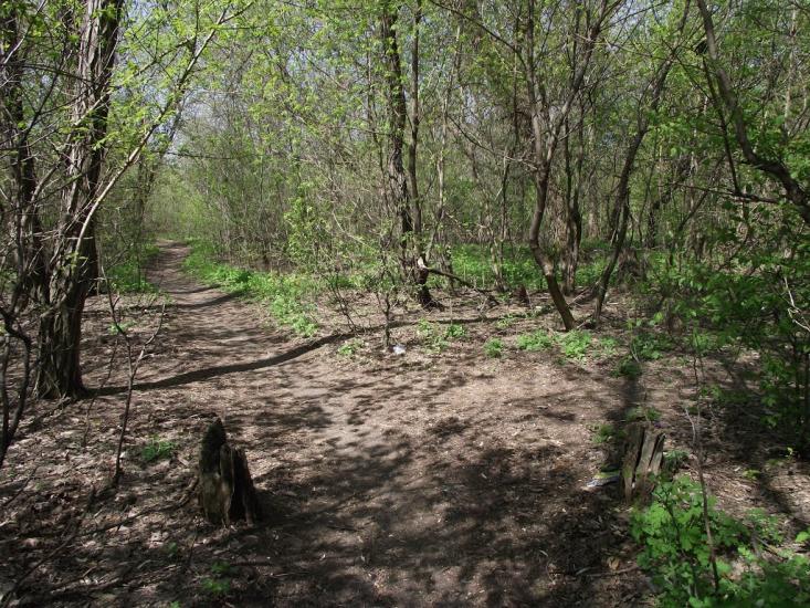Сєверне з panoramio.com - Syeverne