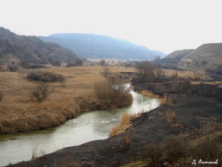 Степне з panoramio.com - Степное