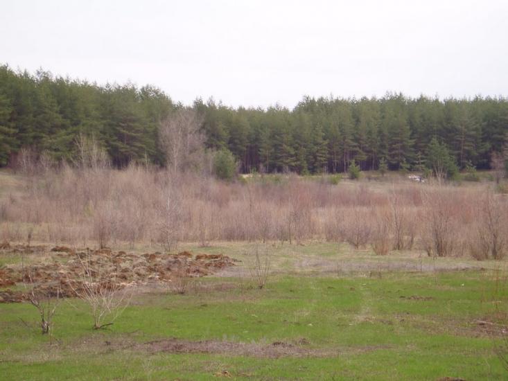 Рубіжне з panoramio.com - Рубежное