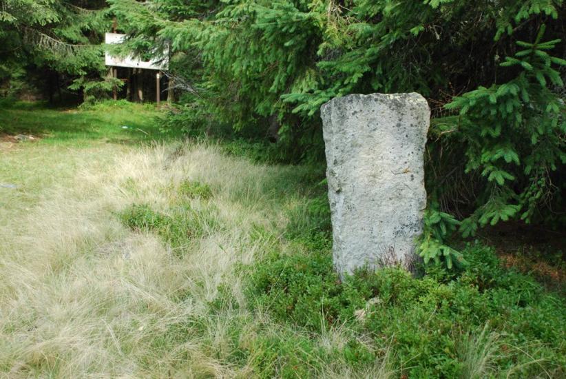 Згари з panoramio.com - Згари