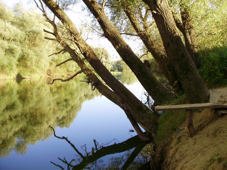 Черниця з panoramio.com - Черниця