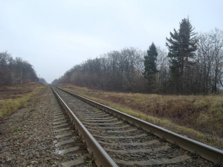 Кузьмин з panoramio.com - Кузьмин
