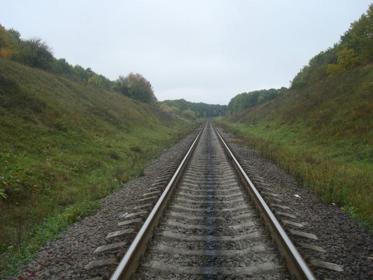 Вищі Вовківці з panoramio.com - Vyschi Vovkivtsi