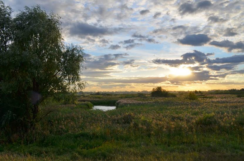 Козаровичі з panoramio.com - Козаровичи