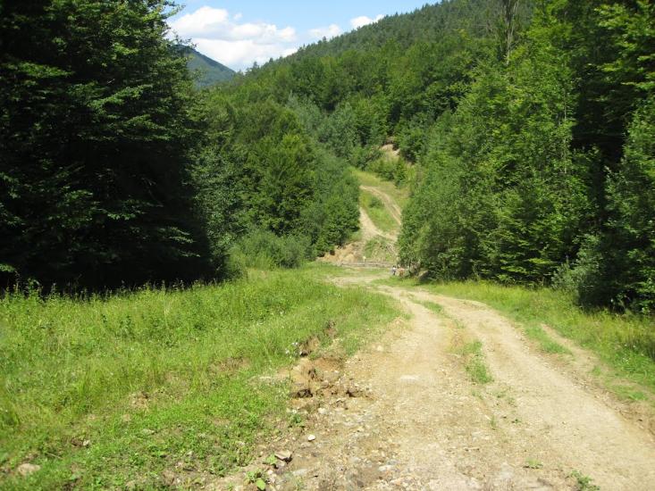 Бабин з panoramio.com - Бабин