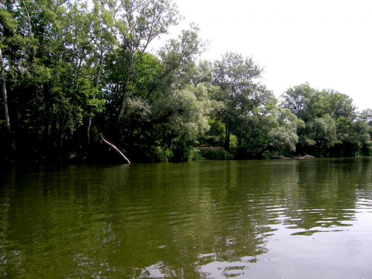 Богородичне з panoramio.com - Богородичное