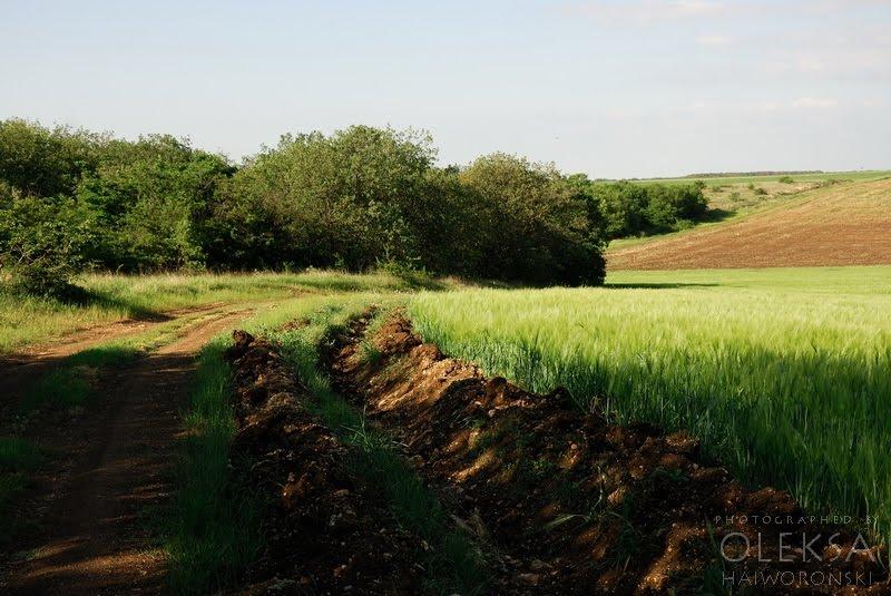 Вікторівка з panoramio.com - Викторовка