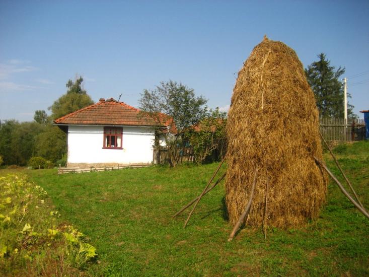 Пилипи з panoramio.com - Пилипы