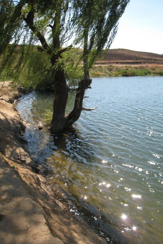 Біле з panoramio.com - Белое