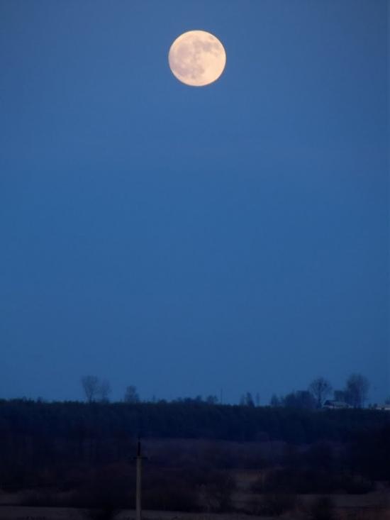 Боянівка з panoramio.com - Бояновка