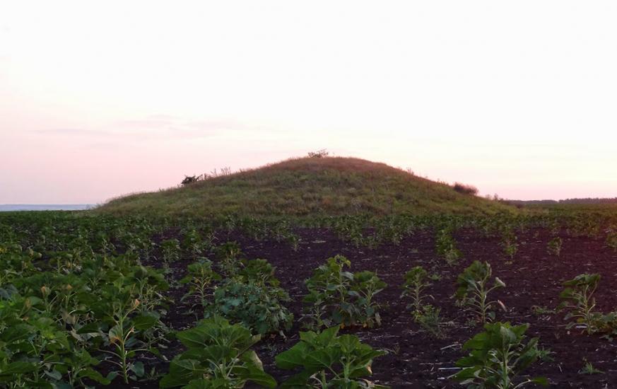 Новозванівка з panoramio.com - Novozvanivka