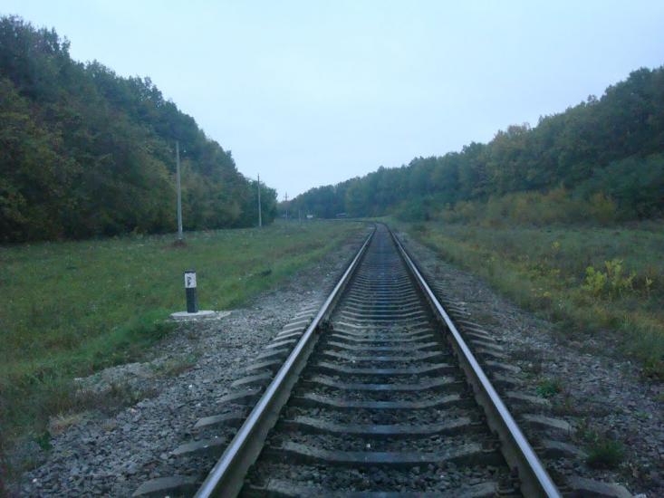 Волудринці з panoramio.com - Волудринці