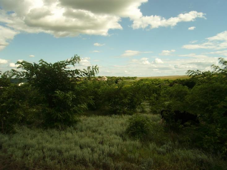 Малоярославець Перший з panoramio.com - Малоярославец Первый