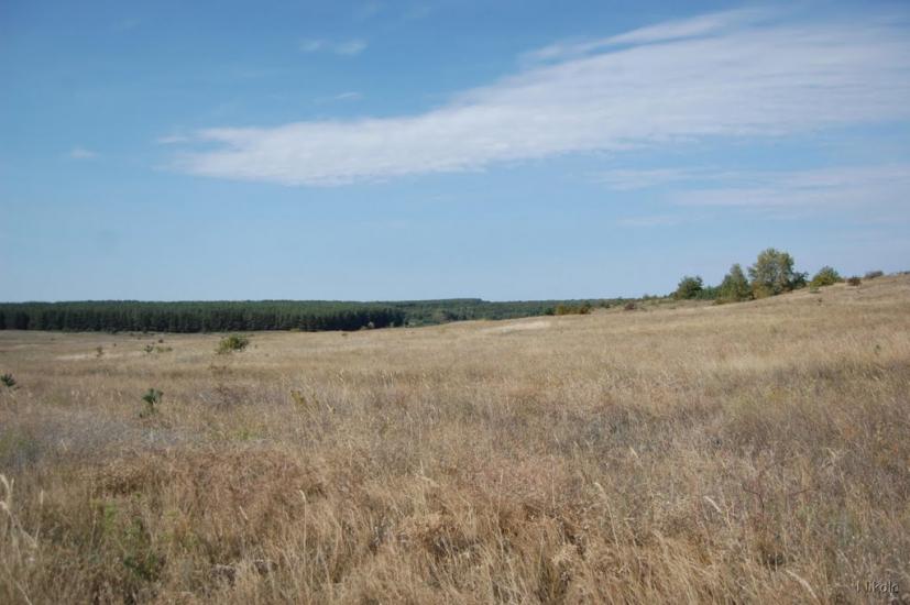 Боровеньки з panoramio.com - Боровеньки