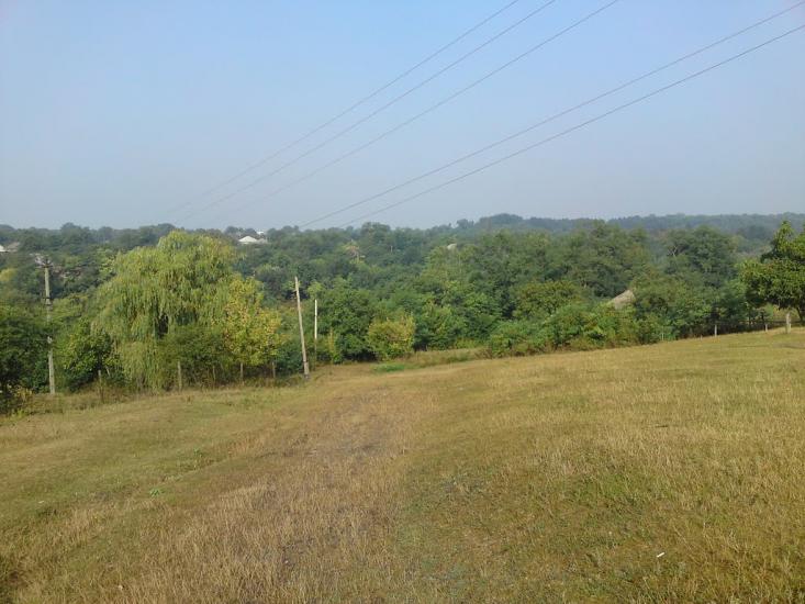 Подвір'ївка з panoramio.com - Подворьевка