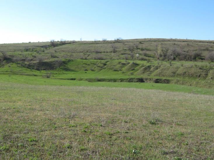 Будячки з panoramio.com - Будячки