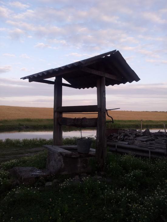 Ріпна з panoramio.com - Ріпна