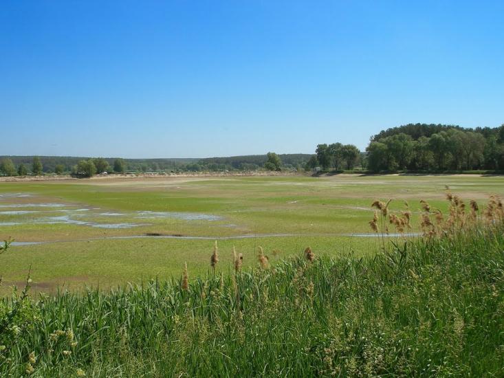 Забір'я з panoramio.com - Zabirya