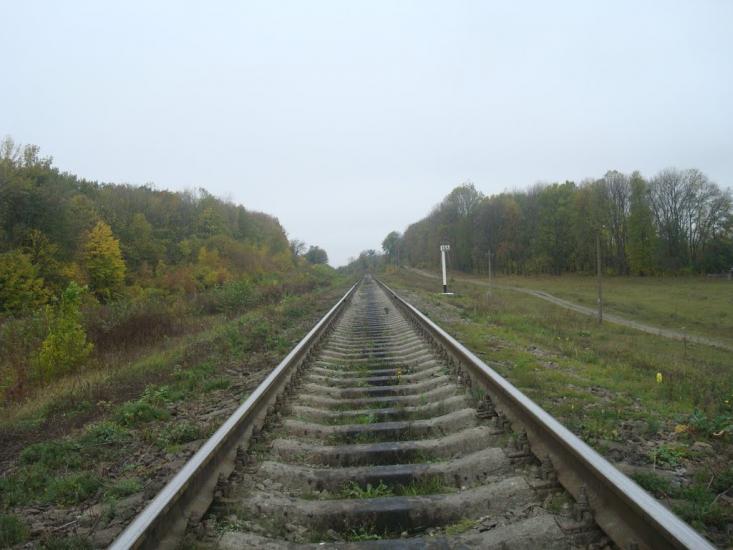 Малиничі з panoramio.com - Малиничи