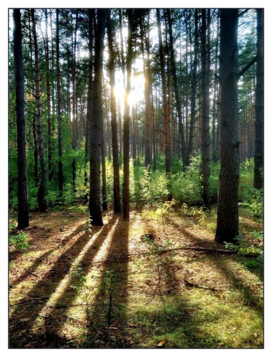 Зазим'я з panoramio.com - Зазимье