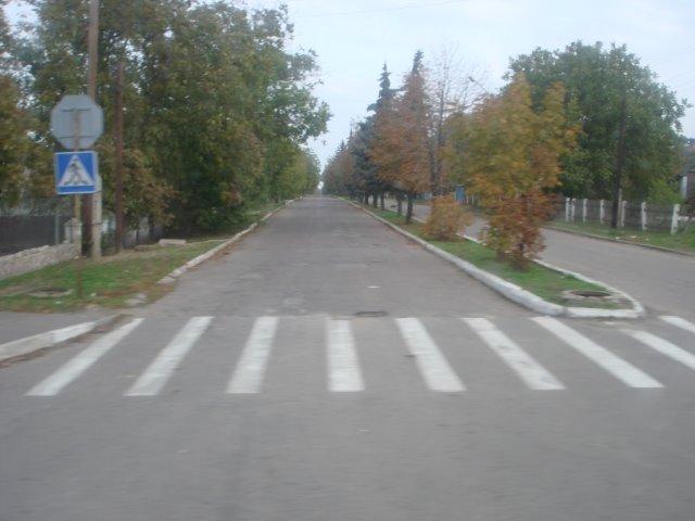 Нововоронцовка з panoramio.com - Novovorontsovka